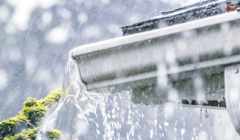 Wise Is as Wise Does